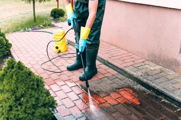 Best Window and Screen Pressure Cleaning in Wauwatosa, WI